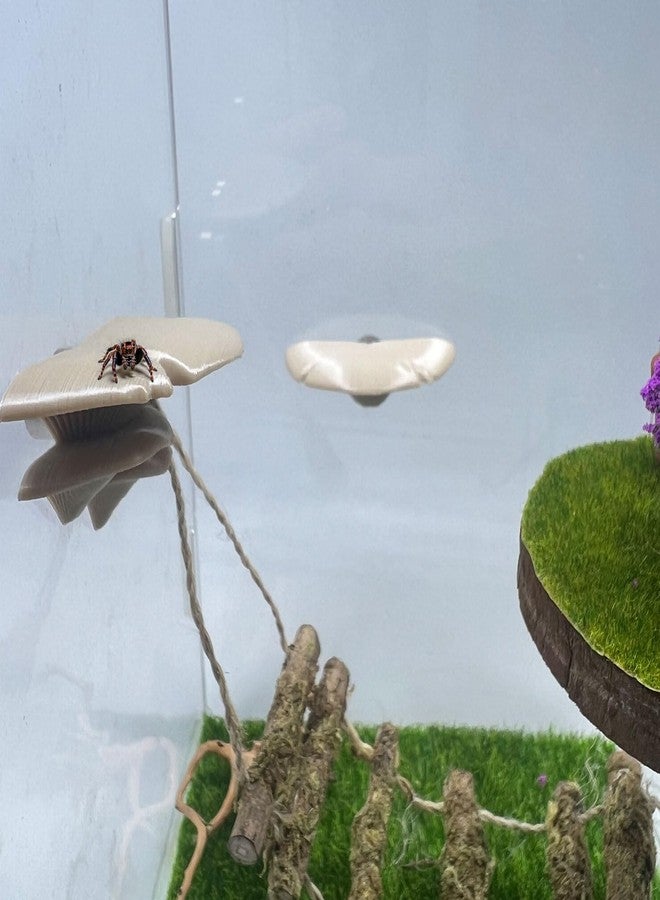 Daerky Jumping Spider Mushroom Shelf, Magnetically Concealed Jumping Spider Habitat,Serves As Enclosure Decorate Accessories for Spider Climbing Feeding and Platforms (Simulated wood) - Image 3